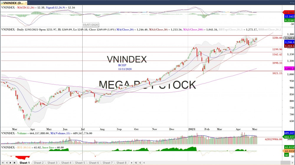Thị trường chứng khoán ngày 13/5/2021: Đồ thị VN-Index. (Nguồn: MegaBot)