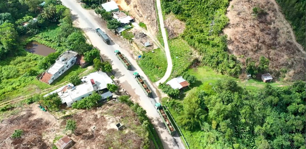 THILOGI đầu tư 35 xe vận chuyển bò và heo.Nguồn: (THILOGI)