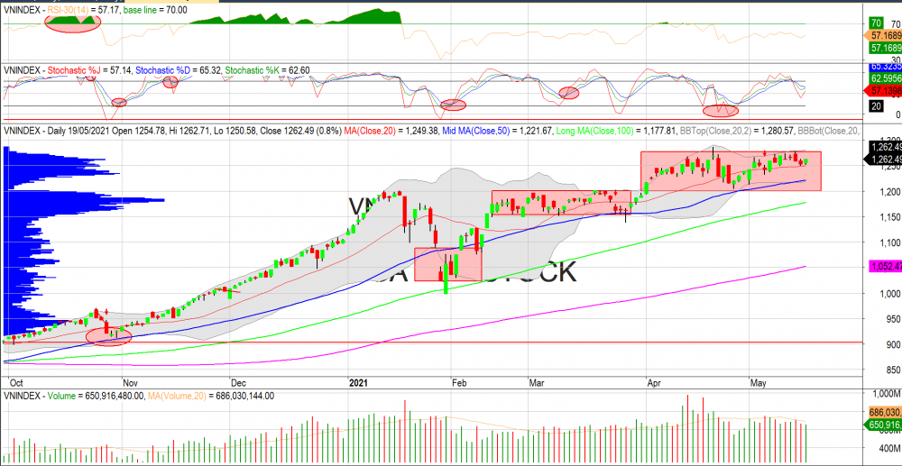 Thị trường chứng khoán ngày 19/05/2020: Đồ thị VN-Index. (Nguồn: MegaBot)