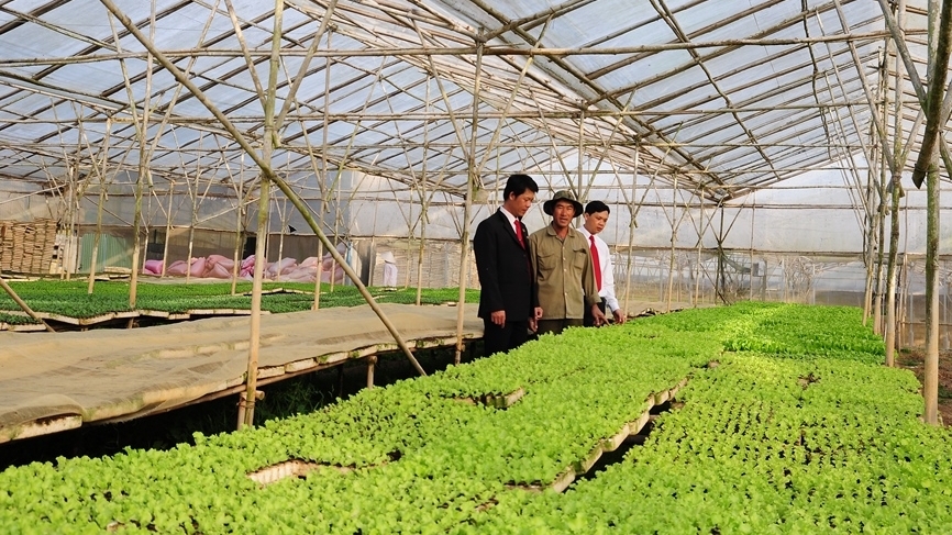 Agribank – Chủ lực cung ứng vốn cho tam nông, tạo động lực tăng trưởng kinh tế