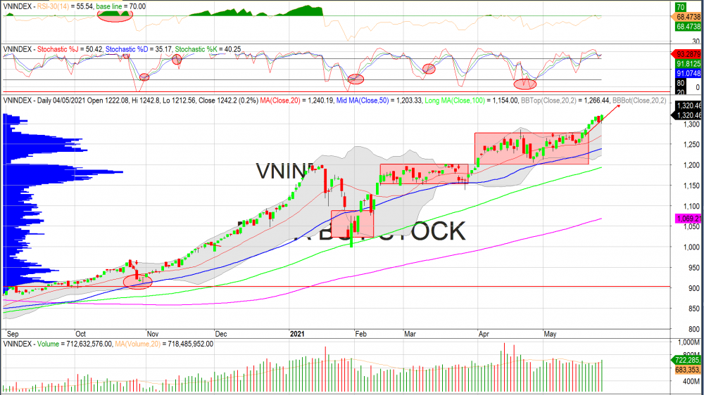 Thị trường chứng khoán ngày 28/05/2020: Đồ thị VN-Index. (Nguồn: MegaBot)