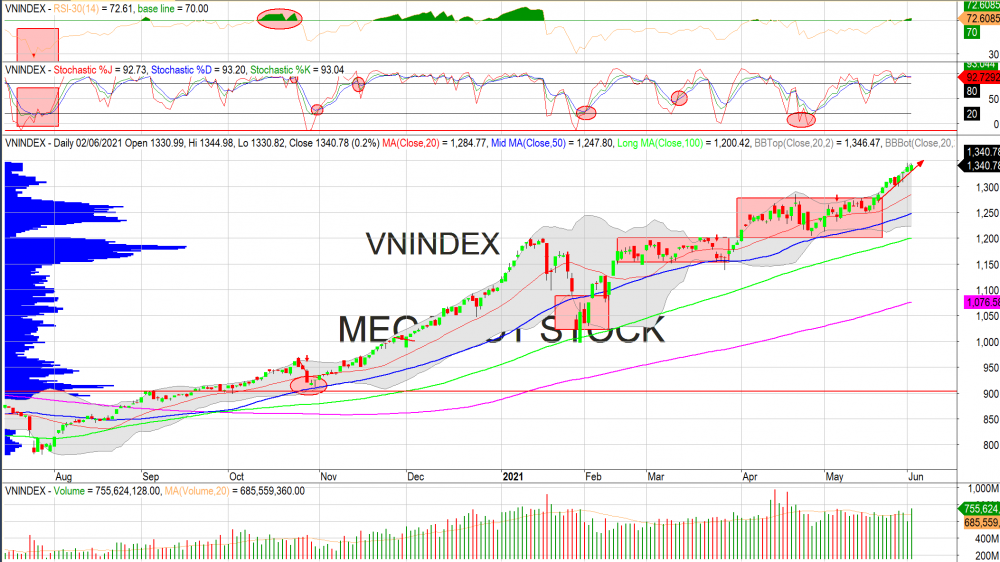 Thị trường chứng khoán ngày 02/06/2020: Đồ thị VN-Index. (Nguồn: MegaBot)