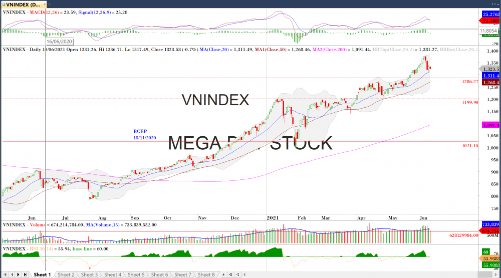 Thị trường chứng khoán ngày 10/06/2020: Đồ thị VN-Index. (Nguồn: MegaBot)