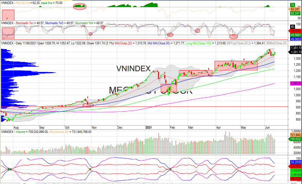 Thị trường chứng khoán ngày 14/06/2020: Đồ thị VN-Index. (Nguồn: MegaBot)