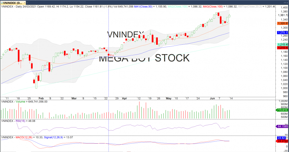 Đồ thị VN-Index của thị trường chứng khoán hôm nay 14/06 .(Nguồn :MegaBot)