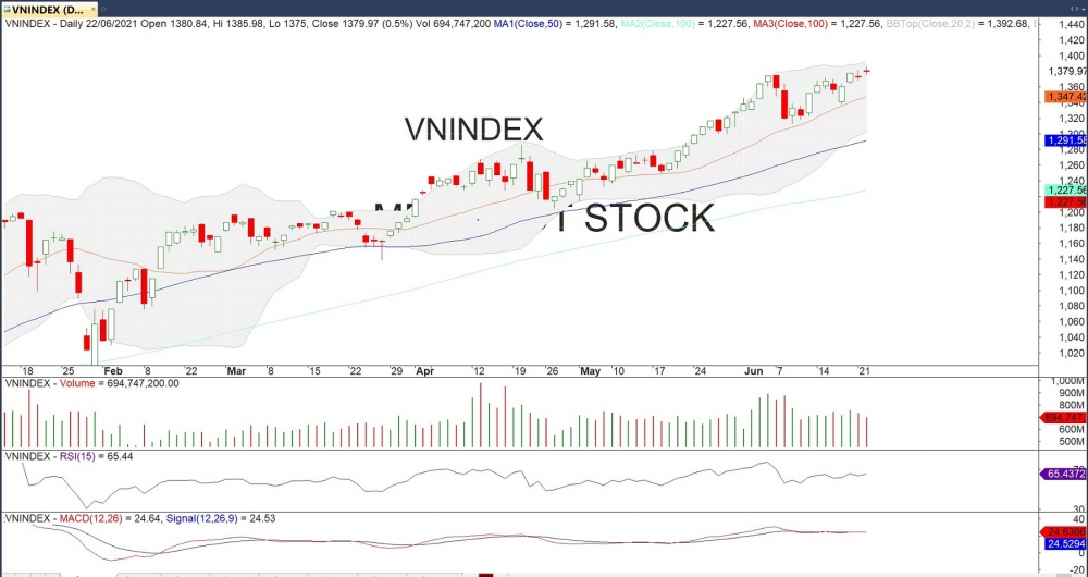 Đồ thị VN-Index của thị trường chứng khoán hôm nay 22/06. (Nguồn :MegaBot)