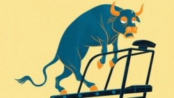 Nhận định thị trường chứng khoán ngày 13/7 - Đừng vội!