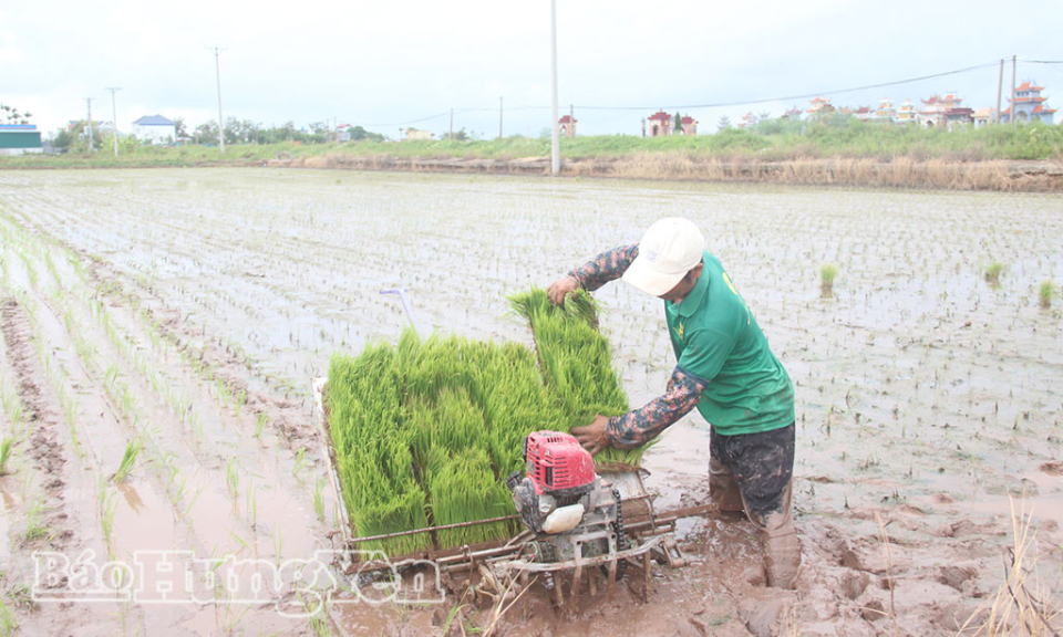 Khẩn trương kh&ocirc;i phục sản xuất sau b&atilde;o số 3