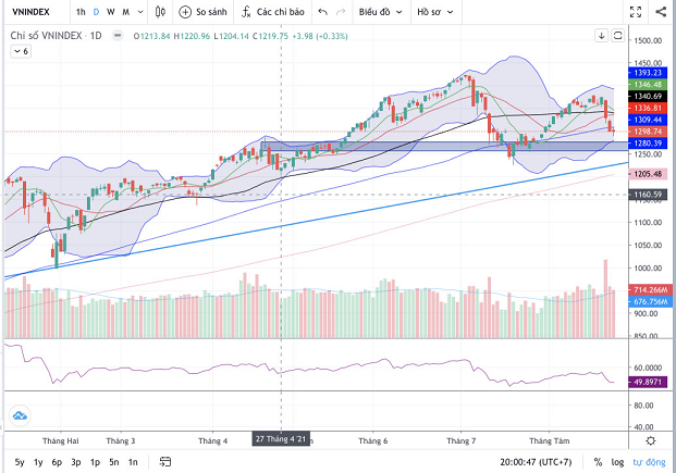 Các cổ phiếu ảnh Đồ thị Vnindex. (Nguồn: Fireant.vn)hướng lớn đến điểm số Index