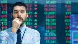 Thị trường chứng khoán ngày 1/9 - Áp lực bán tiếp tục duy trì