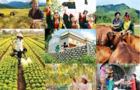 kinh nghiem giam ngheo cua han quoc