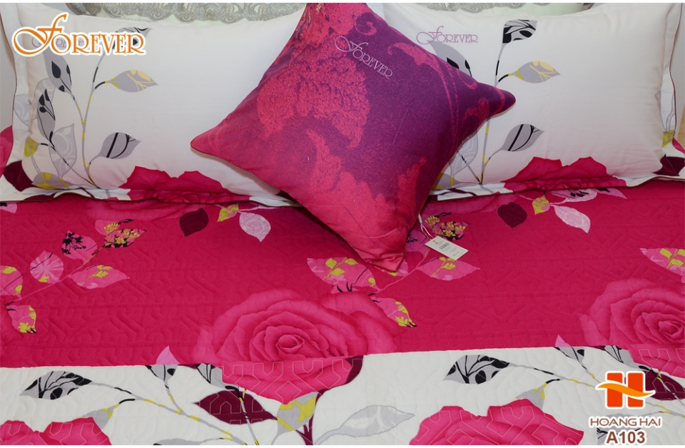 Mua chăn ga tại Hoàng Hải hưởng ưu đãi lớn! mua chan ga tai hoang hai huong uu dai lon