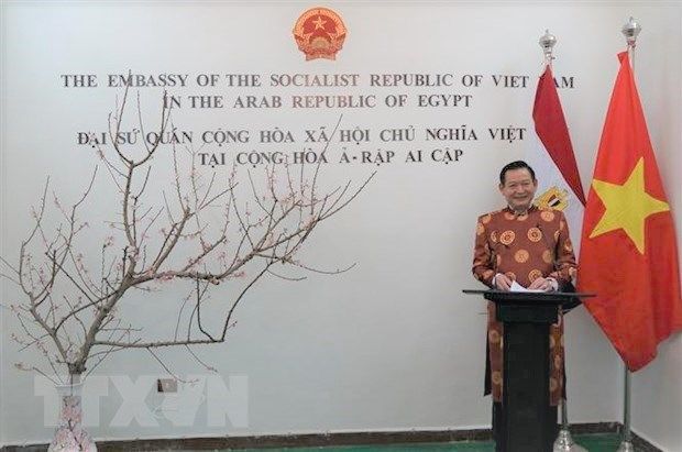 Kiều bào tại Ai Cập vui Tết cộng đồng Mừng Xuân Canh Tý Kiều bào tại Ai Cập vui Tết cộng đồng Mừng Xuân Canh Tý