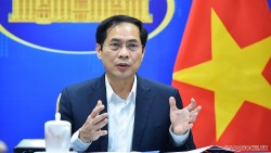 Bộ trưởng Bùi Thanh Sơn tiếp Đặc phái viên của Tổng Thư ký Liên hợp quốc về Myanmar