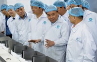 mo rong cap chung thu dien tu cho thuy san xuat khau