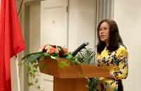 viet nam ha lan 45 nam quan he huu nghi va hop tac toan dien