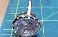 phat hien loai ech ti hon moi diasporus tai costa rica