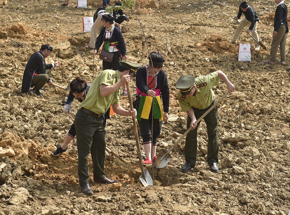 Tổng Bí thư, Chủ tịch nước Nguyễn Phú Trọng phát động Tết trồng cây tin nhap 20190210151831