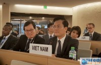 tim huong di ben vung truoc bien doi khi hau