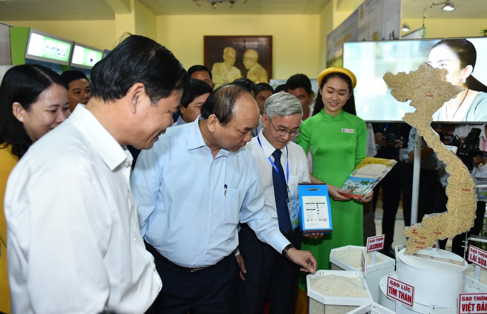 Thủ tướng chủ trì Hội nghị lúa gạo vùng Đồng bằng sông Cửu Long thu tuong chu tri hoi nghi lua gao vung dong bang song cuu long