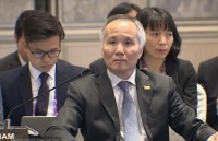 viet nam san sang chia se kinh nghiem dam phan fta voi cac nuoc asean
