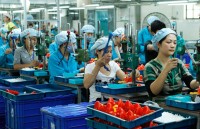 ha noi doanh nghiep nho va vua dong gop hon 40 gdp