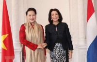 viet nam ha lan cung nhau di toi tuong lai phat trien sau rong toan dien