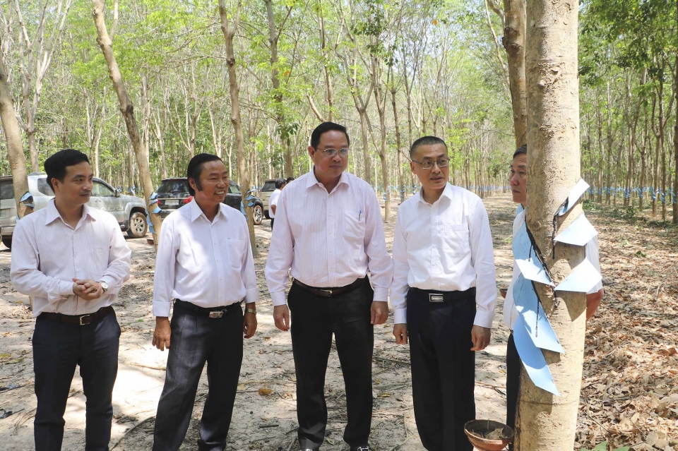 thao go kho khan cho doanh nghiep dau tu linh vuc cao su tai campuchia