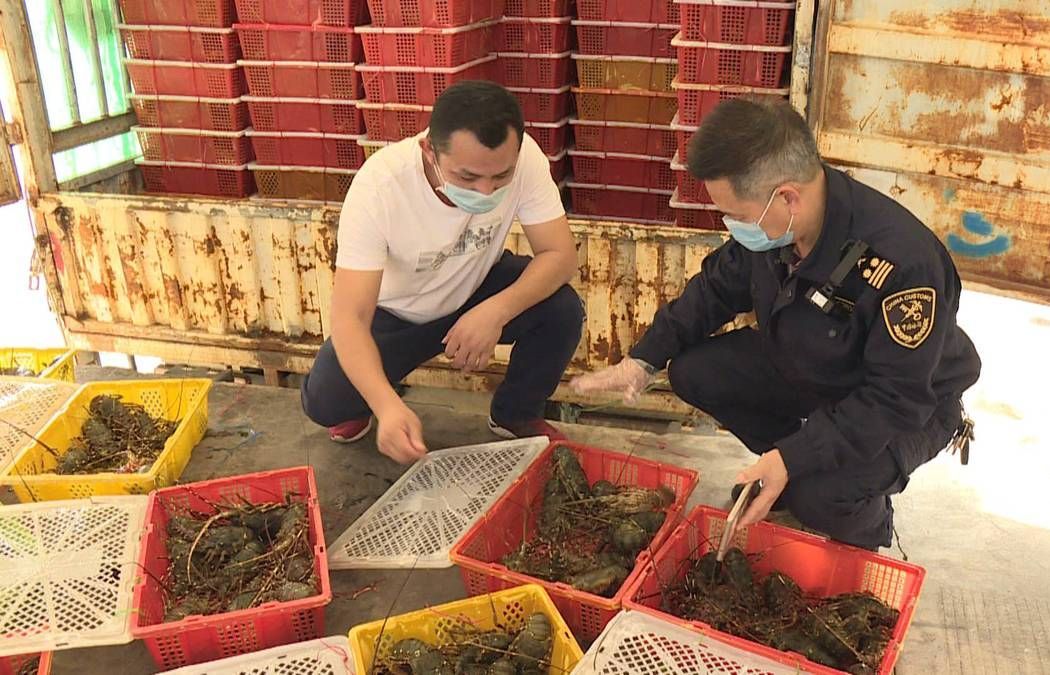 Thực hiện tốt phòng dịch Covid-19: Giao dịch hàng hóa qua cửa khẩu Đông Hưng-Móng Cái tăng trưởng