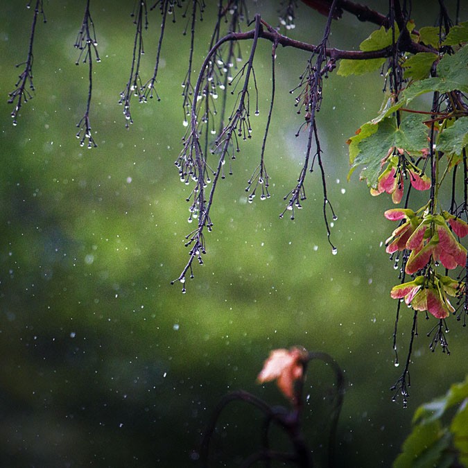 Dự báo thời tiết đêm nay và ngày mai (27-28/3): Bắc Bộ, Hà Nội nhiều mây, mưa nhỏ; Trung và Nam Bộ nắng nóng, mưa rào và dông vào chiều tối Dự báo thời tiết đêm nay và ngày mai (27-28/3): Bắc Bộ, Hà Nội nhiều mây, mưa nhỏ; Trung và Nam Bộ nắng nóng, mưa rào và dông vào chiều tối