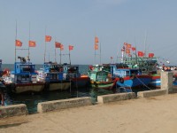 formosa gay ra nguyen nhan ca chet hang loat tai mien trung