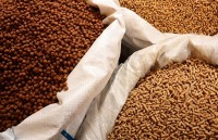 hon 106 ty dong giam sat dich benh thuy san phuc vu xuat khau