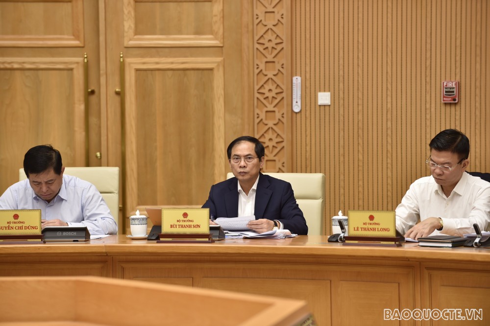 Bộ trưởng Ngoại giao Bùi Thanh Sơn dự Phiên họp Chính phủ