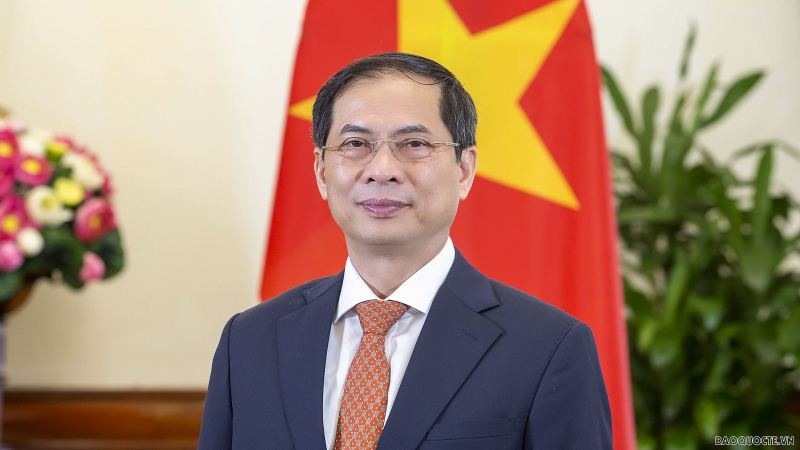 Bộ trưởng Bộ Ngoại giao Bùi Thanh Sơn. (Ảnh: Tuấn Anh)