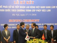 nhat ban cho phep ho ly viet nam lam viec tai nha benh nhan