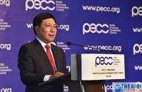 nguyen ptt vu khoan apec la mot cau noi de thuc day xu the hop tac