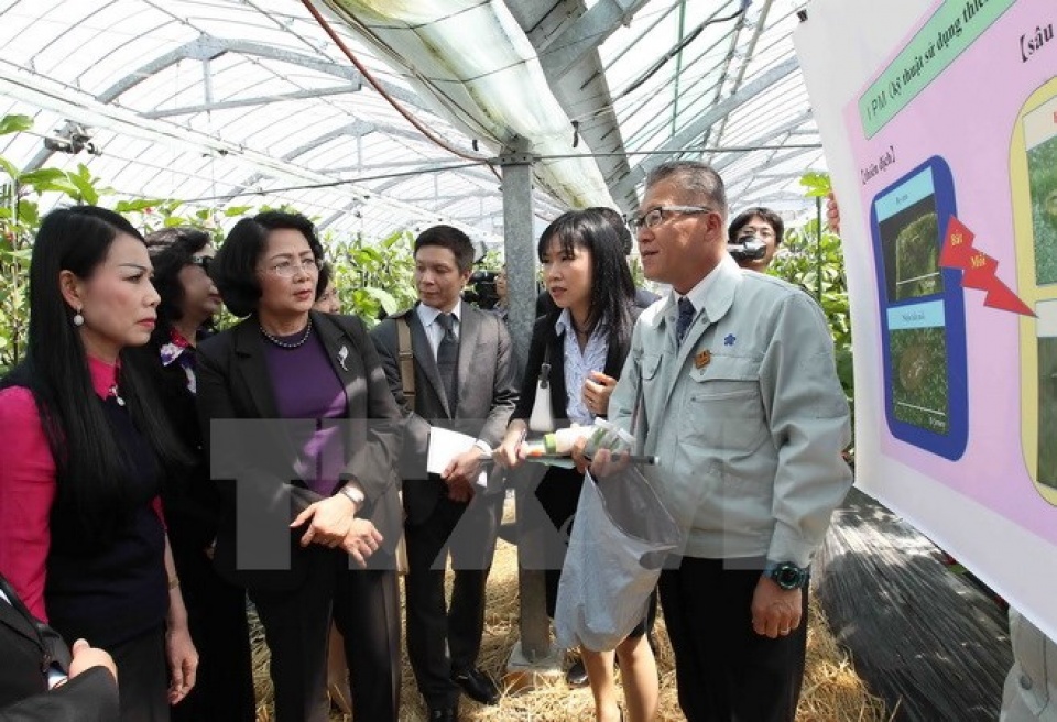 Quan hệ Việt-Nhật: Hứa hẹn mở ra những khả năng hợp tác tiềm năng tin nhap 20170515221043