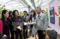 Quan hệ Việt-Nhật: Hứa hẹn mở ra những khả năng hợp tác tiềm năng