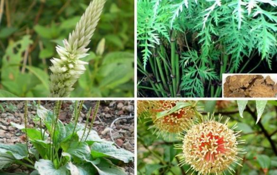 tin nhap 20170516174110