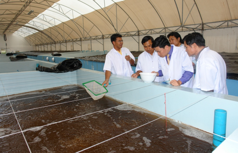 Thành lập Khu nông nghiệp ứng dụng công nghệ cao phát triển tôm
