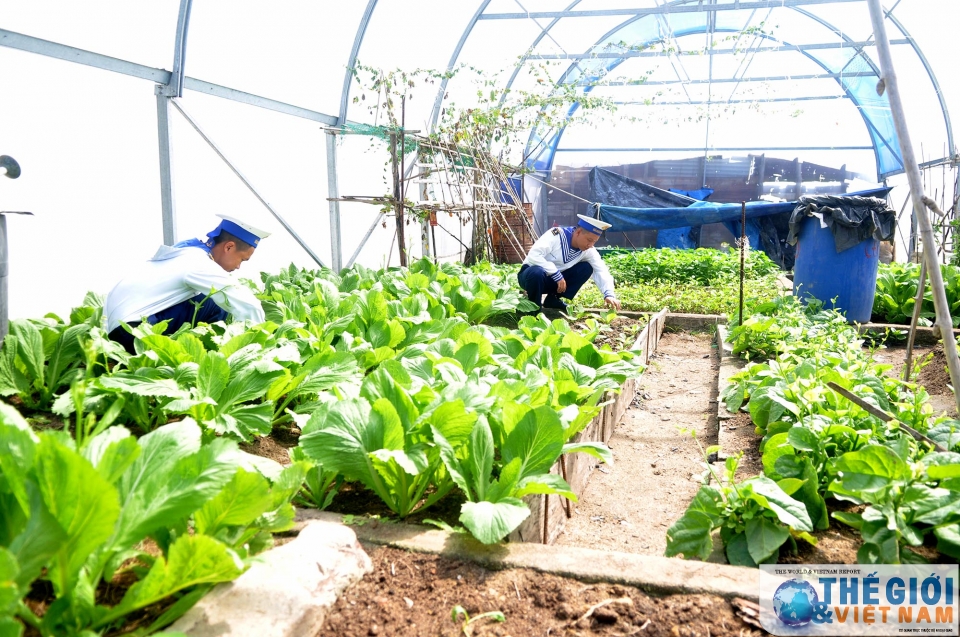 kieu bao va dai bieu doan cong tac so 10 tri an chien sy dong bao o truong sa