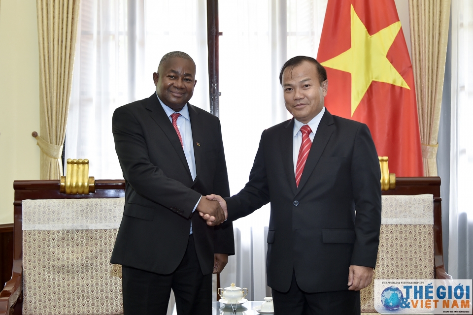 thu truong ngoai giao vu hong nam tiep tan dai su mozambique