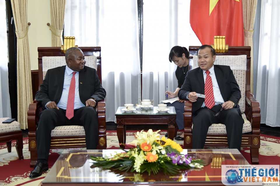 thu truong ngoai giao vu hong nam tiep tan dai su mozambique