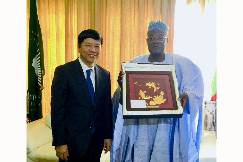 dac phai vien cua thu tuong chinh phu tham lam viec tai cameroon