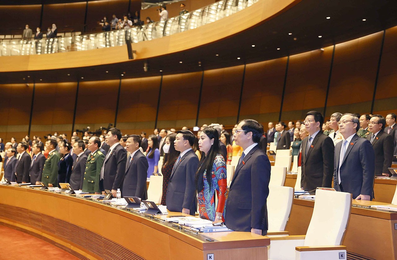 Các đại biểu Quốc hội làm lễ chào cờ.