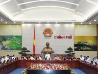 co nen bo luat dau tu