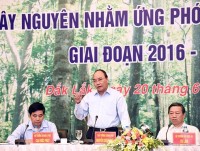 dong cua rung quyet dinh hop long dan