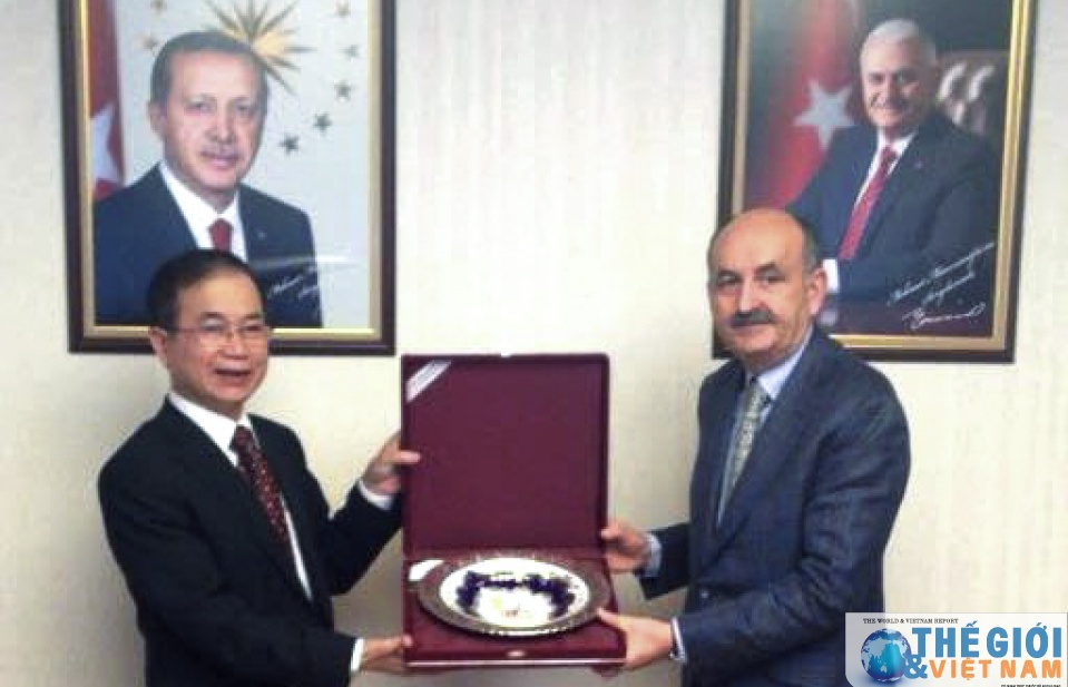 tim bien phap nang cao kim ngach thuong mai tho viet