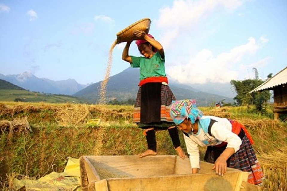 Hỗ trợ phát triển sản xuất các dân tộc thiểu số rất ít người tin nhap 20170615172059