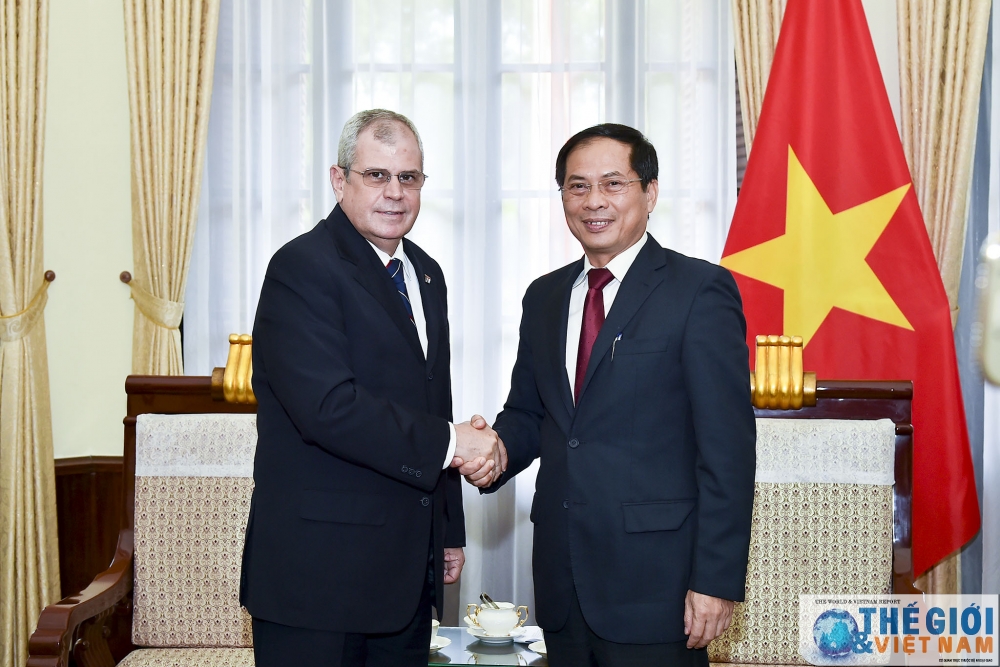 thu truong thuong truc bui thanh son tiep thu ky hoi dong nha nuoc cuba homero acosta alvares